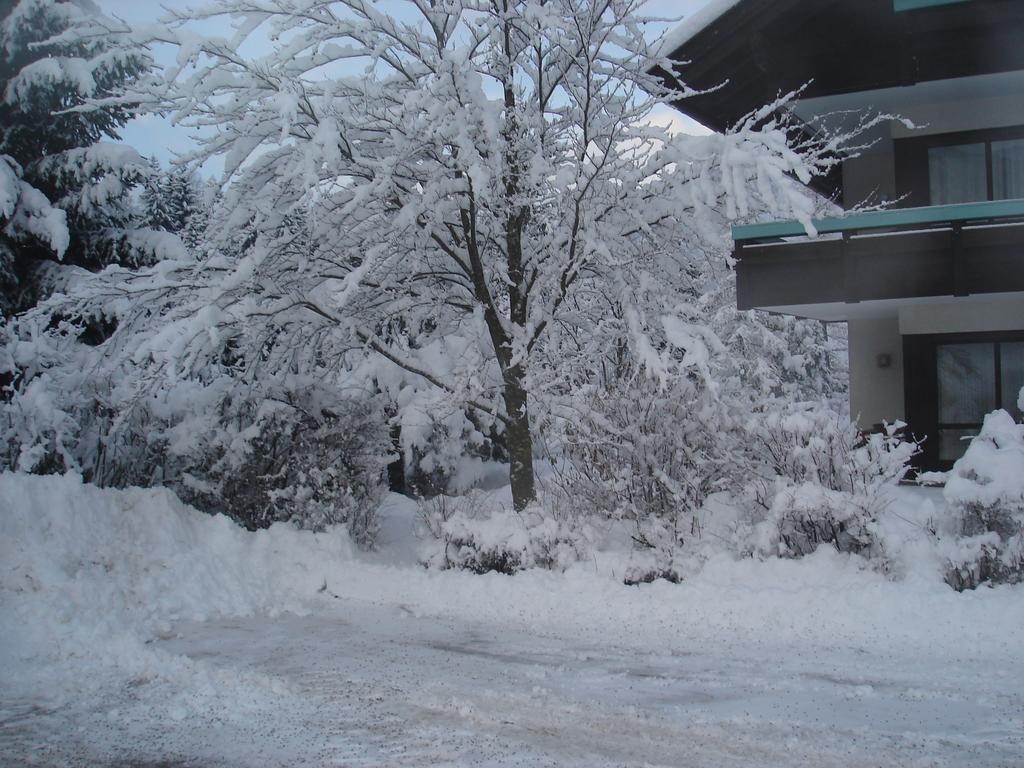 Ortners Mauerwirt - Leistbarer Luxus Apartment Bad Kleinkirchheim Luaran gambar